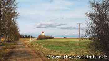 Planungen für Waldhof-Areal - Infoabend in Geislingen zum Absetzgelände - Schwarzwälder Bote