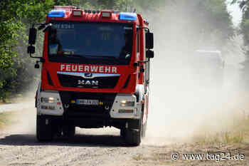 Erhöhte Waldbrandgefahr in Dresden: Feuerwehr rückt zu mehreren Einsätzen aus - TAG24