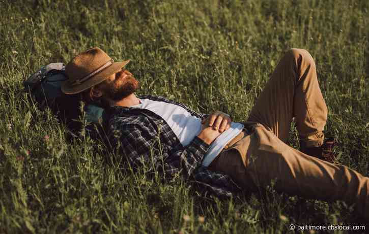 5 Reasons You Should Take A Nap