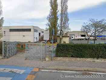 Interventi sui pioppi del parco “I Folletti” in via Fornace - sassuolo2000.it - SASSUOLO NOTIZIE - SASSUOLO 2000