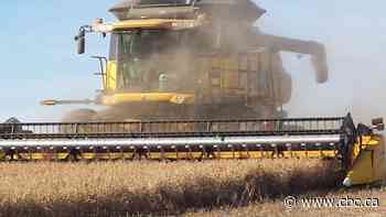 Sask. forecasted to be warmer than normal for the next month