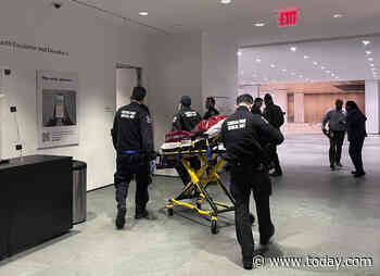Man, 60, stabs 2 MoMA employees after membership was revoked