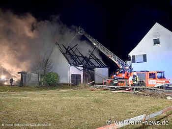 35 Schweine aus brennendem Stall gerettet