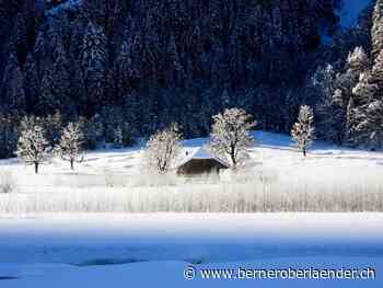 Naturschutz in Reichenbach - Schutzgebiet Tschingel ist beschlossene Sache - Berner Oberländer