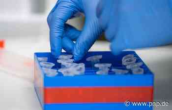 461 Neuinfektionen in Passau: Inzidenz steigt weiter - Passau - Passauer Neue Presse - PNP.de