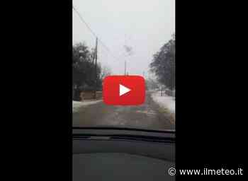 Video Meteo Cronaca Diretta: Bari, all'improvviso una nevicata imbianca Santa Lucia di Monopoli - iLMeteo.it