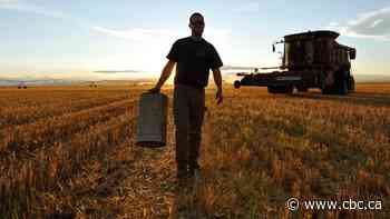 Alberta trails other provinces when it comes to farmland value increases