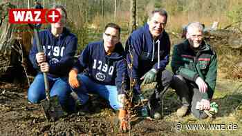 Witten: Lohmann-Mitarbeiter pflanzen fast 1800 Bäume - WAZ News