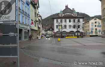 Fenske zu Bahnreaktivierung Schramberg-Schiltach: Batteriezüge als Lösung - Neue Rottweiler Zeitung online