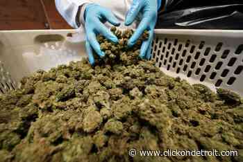 High Times Cannabis Cup seeks top recreational, medical products in Michigan - WDIV ClickOnDetroit