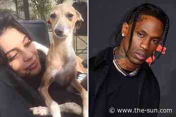 Kylie Jenner’s fans ‘horrified’ by Travis Scott’s ‘shocking’ comments in resurfaced interview about their r... - The US Sun