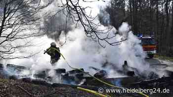 Feuer in Heidelberg: „Hutzelwaldhütte“ nach Brand in Trümmern – Polizei hat Verdacht - heidelberg24.de