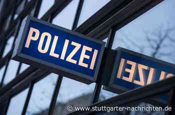 Heidelberg - Frau fährt betrunken zur Polizeiwache - Führerschein weg - Stuttgarter Nachrichten