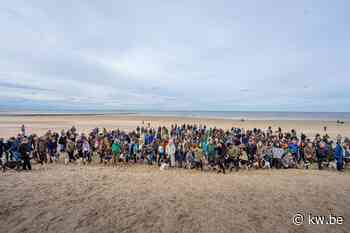 Wereldrecord in Middelkerke: 211 Münsterländers samen op de foto - KW.be - KW.be