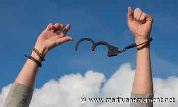 Rhode Island Lawmakers File Psilocybin And Broader Drug Decriminalization Bills While Legal Marijuana Momentum Increases - Marijuana Moment