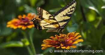 Penn State Master Gardener Class to Begin in October - Lancaster Farming