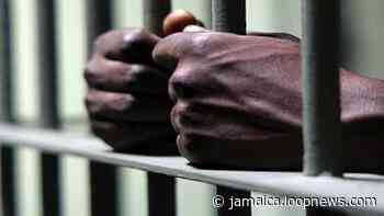 Gardener allegedly caught fleeing with TV from 'uptown' apartment | Loop Jamaica - Loop News Jamaica