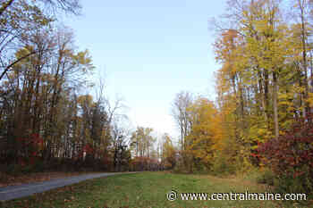 Maine Gardener: The forest edge is a critical environmental zone, and you can enhance it - Kennebec Journal and Morning Sentinel