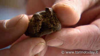 Continuano le operazioni antidroga a Chieri: pusher sorpreso in flagranza di reato - TorinoToday