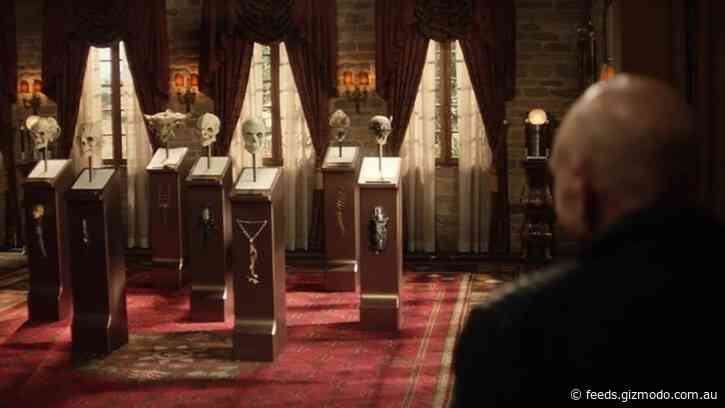 Picard’s Gallery of Star Trek Skulls Is a Cavalcade of Creepy Alien Biology Insights