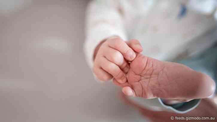 Baby Boy Undergoes First-of-Its-Kind Heart Transplant That Could Skirt Organ Rejection
