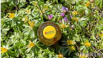 Geretteter Apfelwein kommt in Jena unter Paradiesgäste