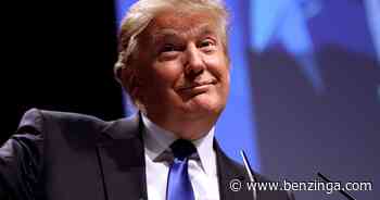 'Patriotic' Meme Coin 'Let's Go Brandon' Sees Another 19% Slump After Donald Trump's Endorsement - Benzin - Benzinga