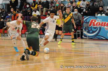 Bobcats claim men's futsal crown - The Brandon Sun