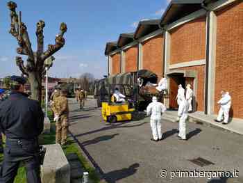 Giornata in memoria delle vittime Covid, a Seriate spuntano "Germogli di speranza" - Prima Bergamo