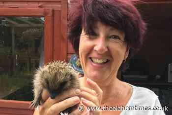 'Hog Manor' hedgehog rescue centre moves into new home - The Oldham Times
