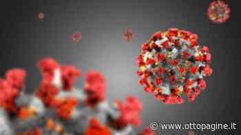 Covid, 494 contagi. Allerta ad Avellino, Mercogliano, Montoro, Solofra e Ariano - Ottopagine