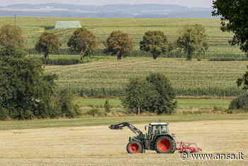 Imprese:Camera commercio Crotone, 268 in più nel 2021 - Agenzia ANSA