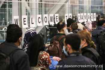 Canadian educational institutions step up for Afghan refugees - Dawson Creek Mirror