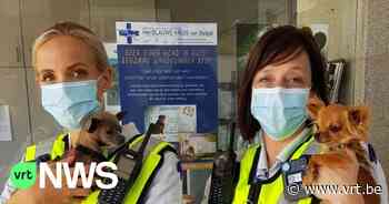 Antwerpse politie redt 16 verwaarloosde honden in Hoboken - Vlaamse Radio- en Televisieomroeporganisatie