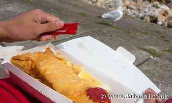 Scottish seagulls remember where they ate fish and chips from, researchers find