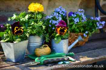 Mother's Day 2022: Gifts for the garden you can buy your mum, grandma and mother-in-law