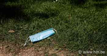 Vlaams Belang ruimt zwerfvuil in Stabroek | Stabroek | hln.be - Het Laatste Nieuws