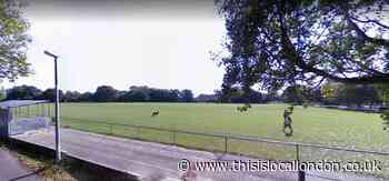 Location of Queen's Platinum Jubilee trees in Epping criticised