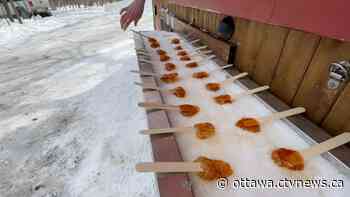 The Log Farm: Ottawa area farm welcoming families during the sweetest time of the year | CTV News - CTV News Ottawa