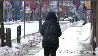 Mild temperatures continue in Ottawa, high above zero expected all week - CTV News Ottawa