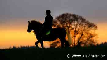 Benzin zu teuer: Junger Franzose kommt mit dem Pferd zur Arbeit