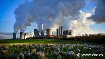 Energy security concerns and surging prices could give coal industry a new lease on life