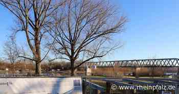Hohe Preise am Bau: Rhein-Kiosk lässt weiter auf sich warten - Germersheim - Rheinpfalz.de