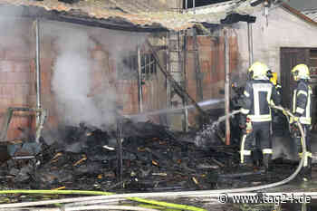 Tierisches Glück bei Brand eines Bau- und Gartenmarktes in Greußen: Hühner und Meerschweinchen überleben - TAG24