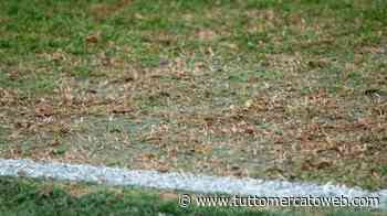 Ancona Matelica, è prossima la svolta societaria: Tiong atteso in città il prossimo 27 marzo - TUTTO mercato WEB