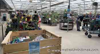 Salisbury Greenhouse steps up to support Ukraine - Wetaskiwin Times Advertiser