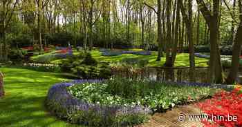 Beringen start met project 'Klimaattuinen' | Beringen | hln.be - Het Laatste Nieuws