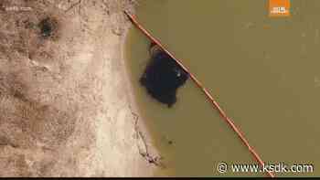 Animal group treating wildlife, asking for donations after Marathon oil spill in Edwardsville - KSDK.com