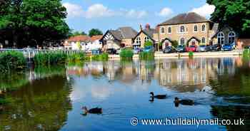 The candidates vying for South Hunsley ward after councillor's death - Hull Live