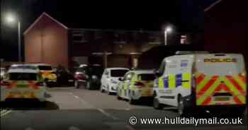 Hull schoolboy inches from death after knife narrowly misses heart during savage stabbing - Hull Live